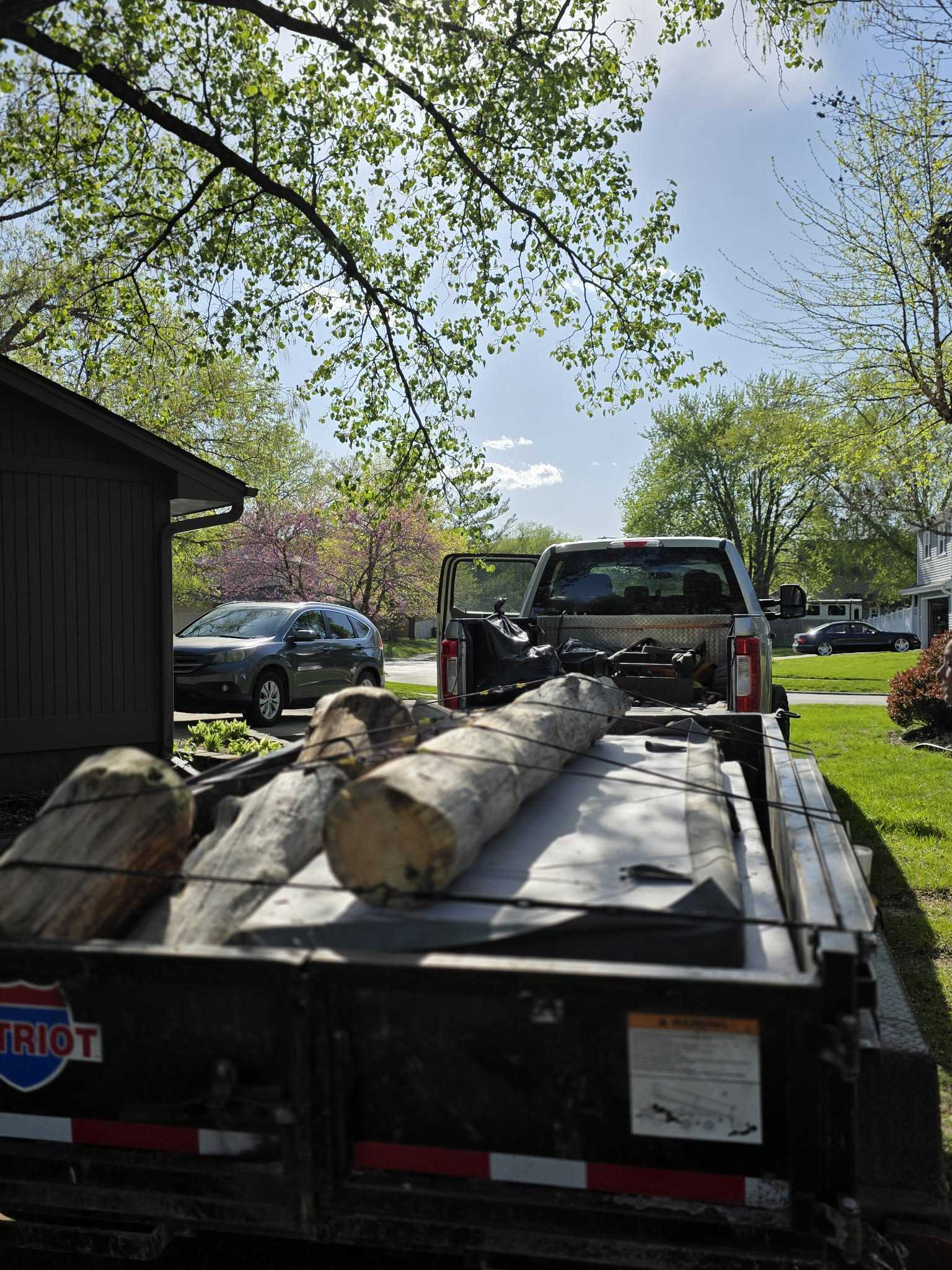 Truck loaded with large logs for haul-away